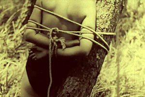 dark lantern entertainment steam age porn with hairy pussy bdsm bound vintage 😈