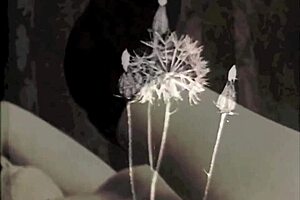 Vintage Very Old Grannies Feeling Horny In Group Threesome