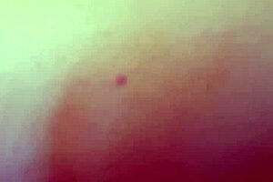 she enjoys cock in her ass from pov