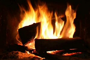 Oh, The Maid's Erotic Tale Of Latina Teen Adventures!