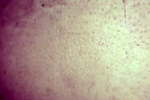 I'm Dipali desi housewife devar heats me and fucks like mare