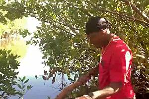 A quickie at the beach with deepthroat.