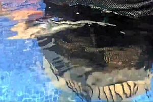 Milf Prefers Dick Over Food In Pool