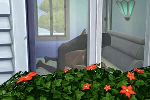 Arab Milf Invites Young Lover For Secret Sex At Home?