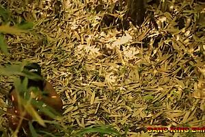 Outdoor ebony mummy gets hairy pussy fucked hard in the bush!