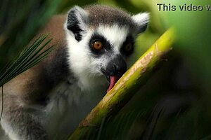 5 instant tips for premature ejaculation 😊