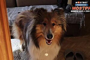 I Confused My Stepson With My Wife And Creampied Her Ass