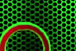 makayla cox gets cunnilingus and 69 with big pussy lips