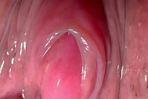 Amateur Pink Pussy 195 Days After Losing Her Virginity