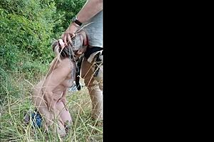 slave girl bound on highway for outdoor slapping and dirty blowjob teasing