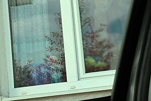 Driver, Oh My! Did You See That Naked Milf In Stockings Without Panties Washing The Window Publicly?