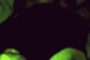 creampie for mrs lala's big ass close up 😏 her ebony curves get filled with cum