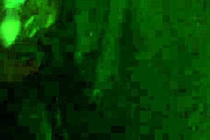 i love fuckin my self with that dildo close up