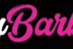 I gave my ass at the party in Rio