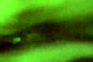 alineflavio - update 120 - 20240807 233035 3 - aug 08 2024. i cum inside her shaved close up in pov.