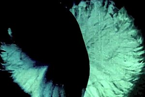 Dark Lantern Entertainment Presents Top 10 Flirtatious Grannies From My Secret Life, The Erotic Confessions Of A Victorian English Gentleman!