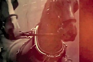 Vintage footage of mother nature in her natural setting