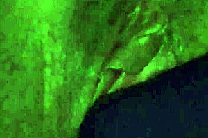 Hot wet Latina plays with creamy pussy until squirting.