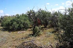 savannah vixen explores outdoor mature amateur adventures