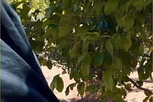 hot wife feels thrilled giving an amazing public blowjob