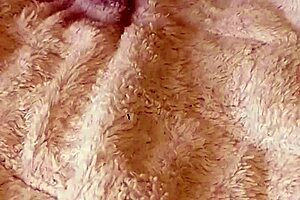 just a simple fetish session with mala dvojka european amateurs fingering