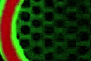 mini stallion wore red sneakers while riding rome major's thick hard cock in a sexy scene