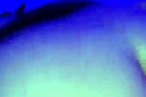 milf with big ass takes cock doggystyle outdoors pov style then switches to front fucking