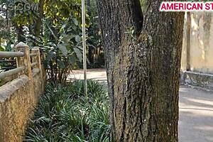 Novinha gostosa completou 18 anos e chamou um amigo pra tirar a virgindade dela no mato