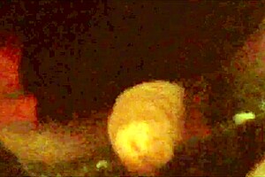 Lenev8 Causou na Casa de Swing Tirou a Roupa e Fodeu nas Cabines com Estranho no Pelo como a Safada Gosta