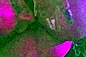 lesbians using tongues to bring each other wild pleasure 😏👅