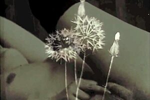 hey, dark lantern entertainment shares the sins of our step grandmothers from my secret life