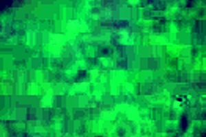 Steve shares a casual verification clip with his girlfriend during their hangout time together.