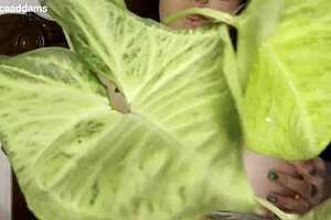 Wow, curvy Latina mommy's big natural tits wiggle in oiled shower 😍