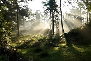 how to perform oral sex on your girl my name is cristian cipriani... oops i mean milf amateur couple fingering humiliation in 1on1