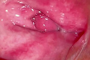 Amateur pink pussy felt fresh excitement 237 days after losing virginity in close-up wet action.