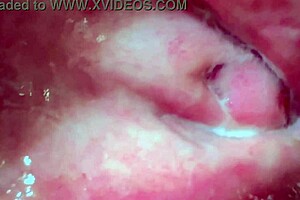 Amateur pink pussy felt fresh excitement 237 days after losing virginity in close-up wet action.