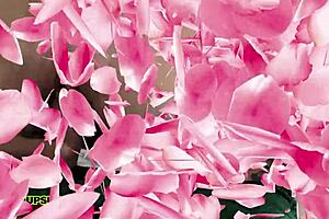 Real amateur threesome features anal creampie with milf christina shine