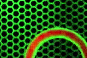 How does stallion get lucky with milfs Sara Jay and Ava Devine in cowgirl riding?