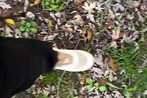 nice ride on a sunny day with european friends and family sharing laughs