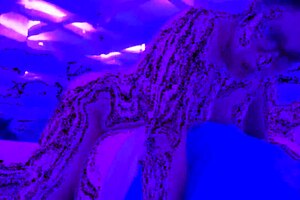 I love this hot sex in swinger club with kinky latina milf wife riding and flashing in public