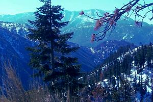 Blonde milf august gets a visit from her new boyfriend