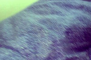 Why does my best friend's mom love sucking my cock and licking my ass when he's away?