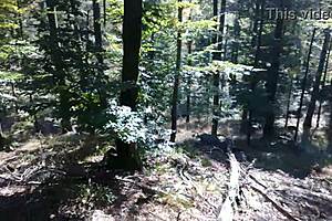 The stepmom was in the shower when her stepson joined unexpectedly. He ended up giving her a dick in the mouth and then anal action.