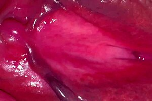 pink pussy of amateur wife gets licked and fucked close up after losing virginity