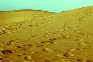 Small tits milf brunette strips naked showing bubble butt and poses like an amazing hot babe 😍