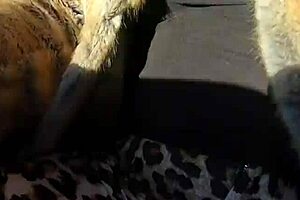 Risky Out-Door Sex Is Fun! Compilation 3 Preview With Latina Milf Taking Facial Cumshot And Deepthroat!