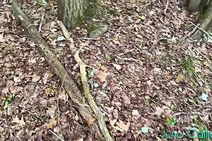 Oh man I was spying on this hot girl masturbating in the woods she didnt notice me at all