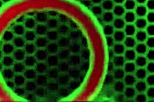 Betty Bang Joins Mature Lesbian Group In Lingerie For Wet Pussy Licks At Party