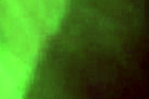 Thick mixed latina cougar with big ass and tattoos loves riding horny dick in wet reverse cowgirl.