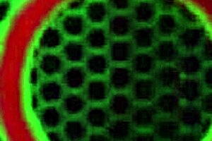 Did Drake Von really cum on her face after fucking Sara Jays mouth like that?